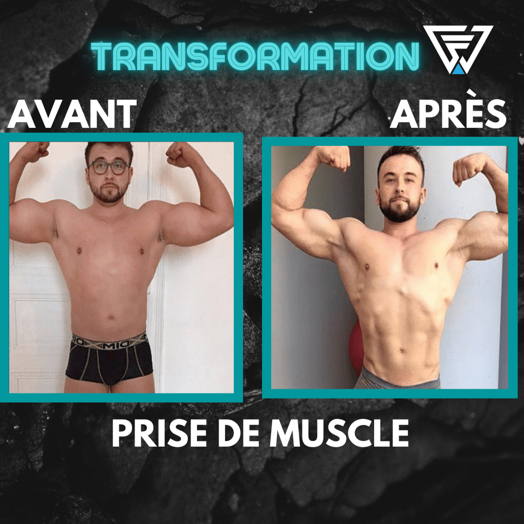 Prise de muscle